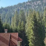 Alpine Relax Free & Pool Apartment