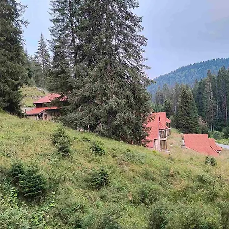 Appartement Alpine Relax Free & Pool *