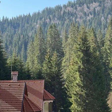 Alpine Relax Free & Pool Appartement