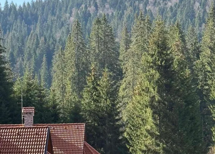 Alpine Relax Free & Pool Apartment