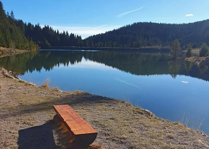 Alpine Relax Free & Pool 팜포로보